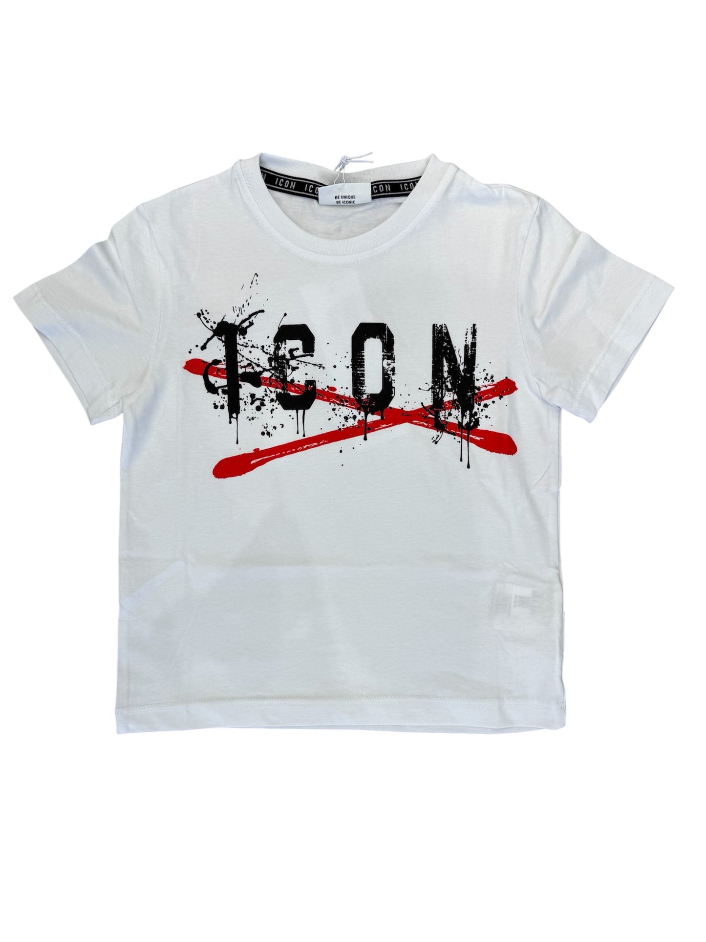 IBKS001004 - completo - ICON