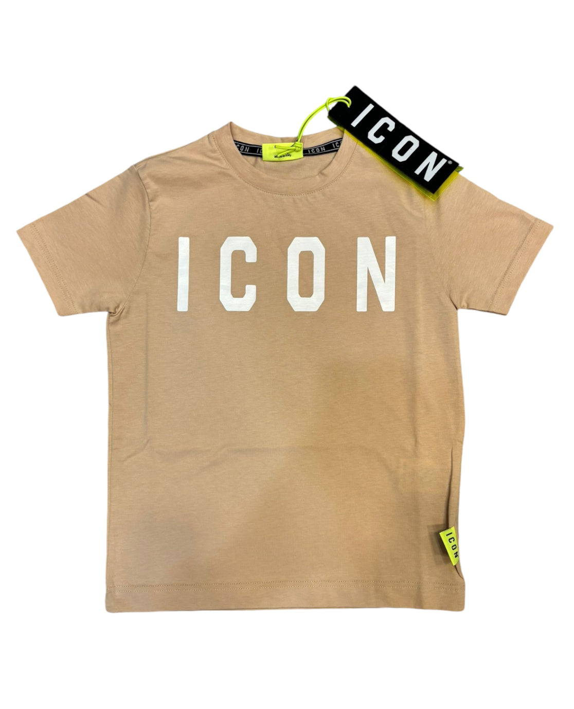 IBKS00273 -  - ICON