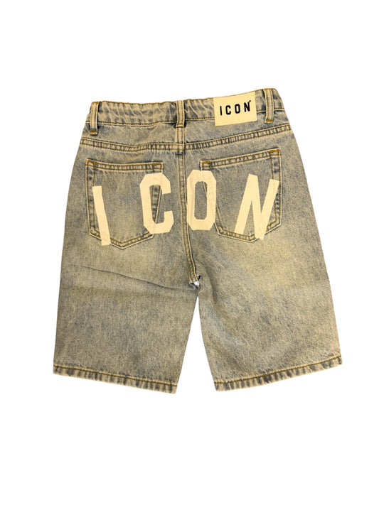 IBDS001044 - bermuda - ICON