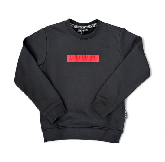 ibsw00842 - felpa - ICON