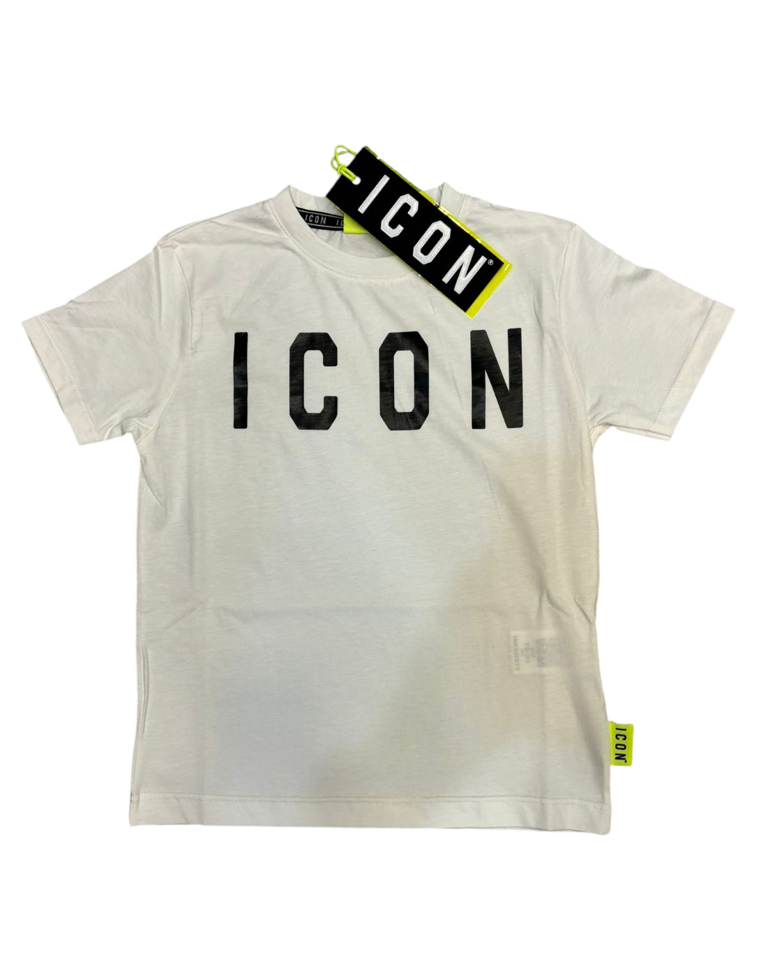 IBKS00273 -  - ICON