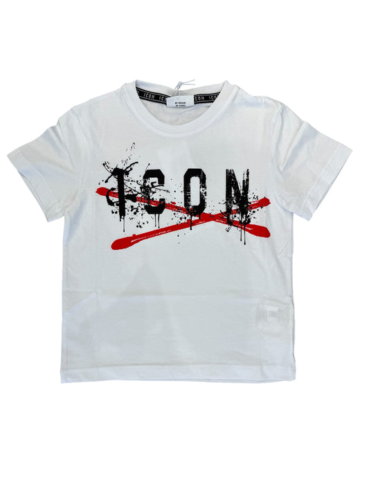IBKS001004 - completo - ICON