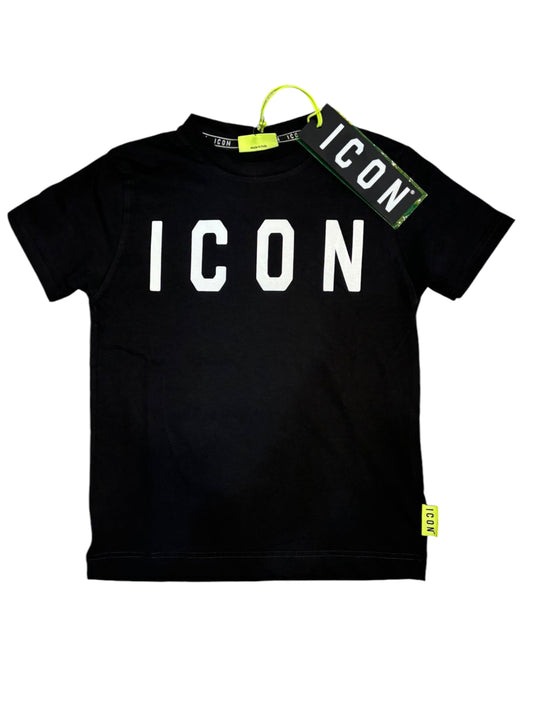 IBKS00273 -  - ICON