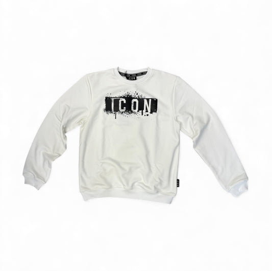 ibsw00766 - felpa - ICON