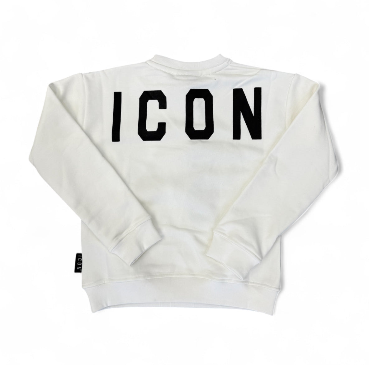 ibsw00856 - felpa - ICON