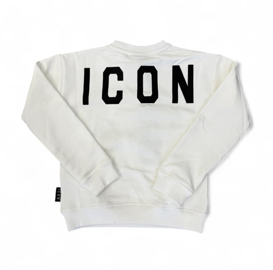 ibsw00856 - felpa - ICON